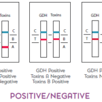 ICSTAT C. difficile GDH AB - Results